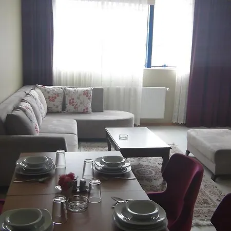 شقة فندقية 134 *